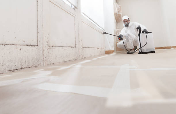 24/7 Emergency Bathroom Mold Removal experts in Berryville, VA