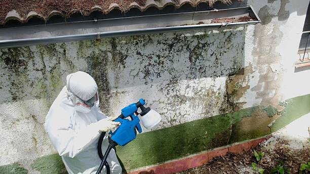 Top rated local Bathroom Mold Removal specialists in Berryville, VA